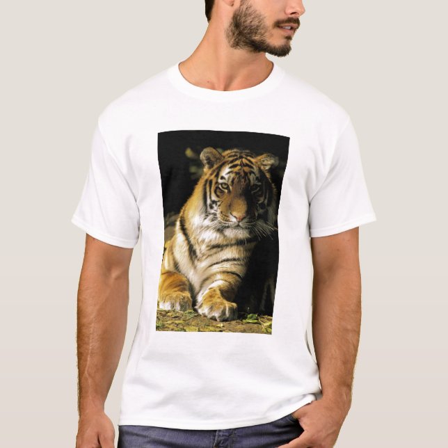 USA, Michigan, Detroit. Detroit Zoo, tiger 3 T-shirt (Framsida)