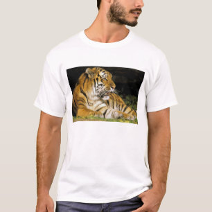 USA, Michigan, Detroit. Detroit Zoo, tiger på T Shirt