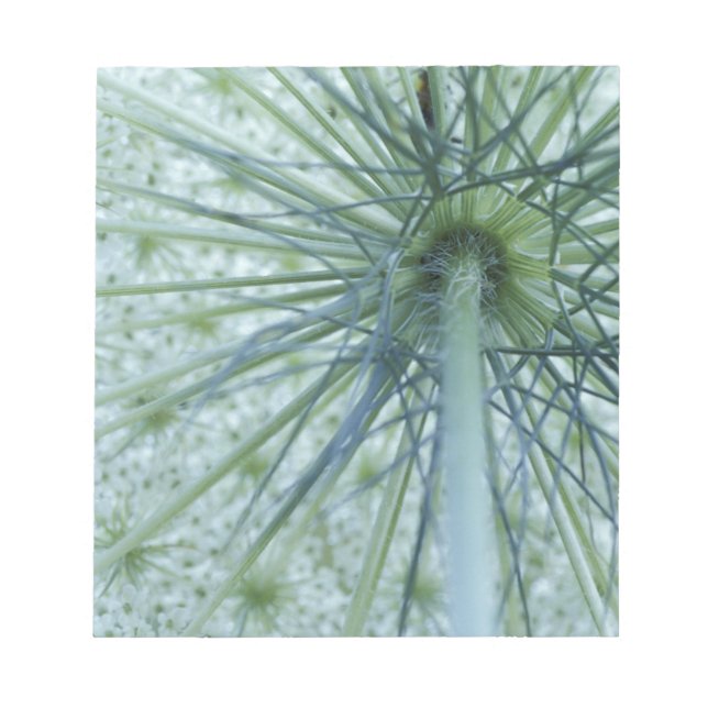 USA, Michigan. Drottning-Anne's Snöre betraktad fr Anteckningsblock (Framsida)