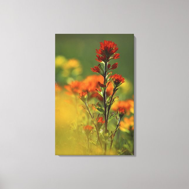 USA, Michigan, Drummond Island, Maxton Plains Canvastryck (Framsida)