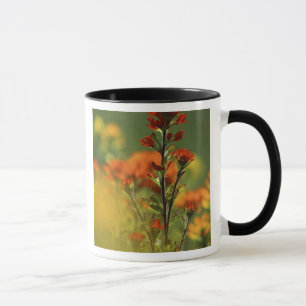 USA, Michigan, Drummond Island, Maxton Plains, Mugg