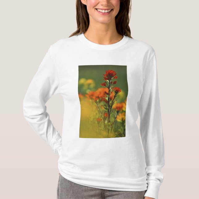 USA, Michigan, Drummond Island, Maxton Plains T-shirt (Framsida)
