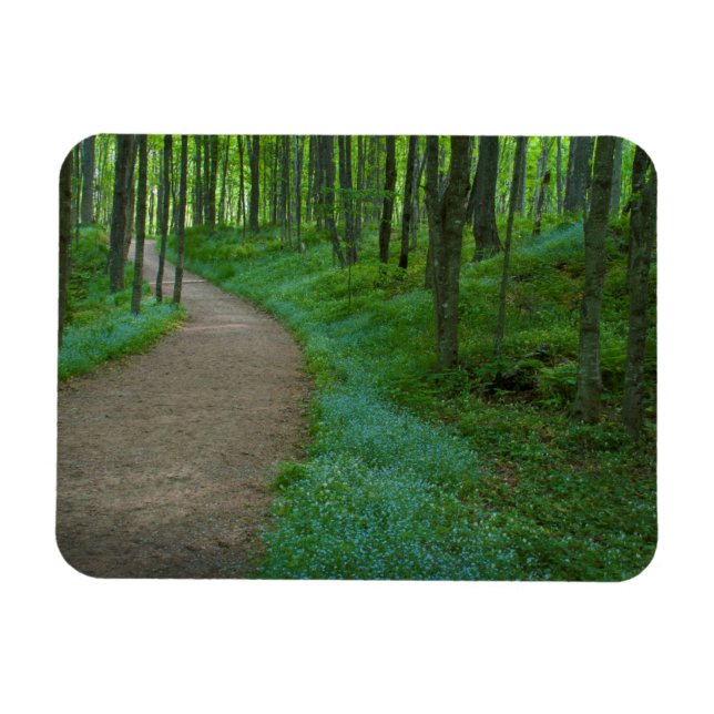 USA, Michigan. Miner's Falls Trail Magnet (Horisontell)