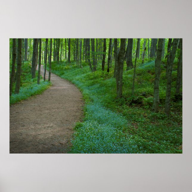 USA, Michigan. Miner's Falls Trail Poster (Framsidan)