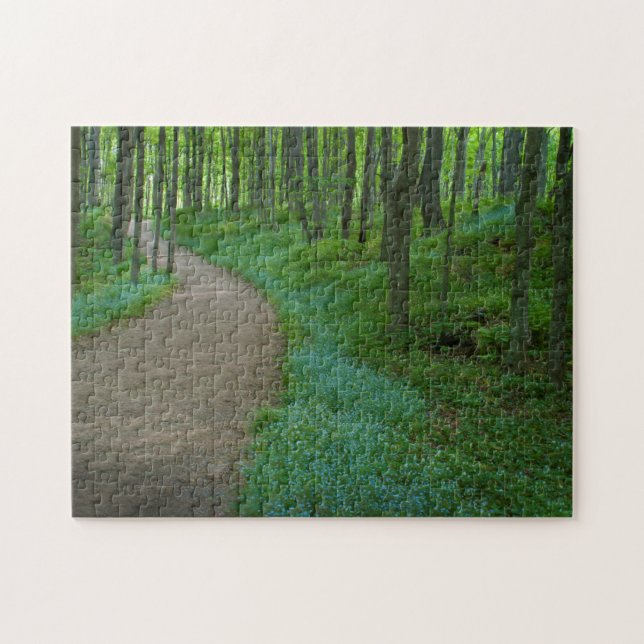 USA, Michigan. Miner's Falls Trail Pussel (Horisontell)