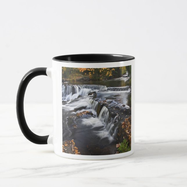 USA, Michigan, Övre halvön. Bond Falls och Mugg (Vänster)