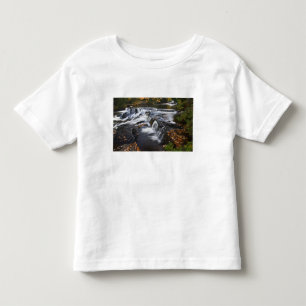 USA, Michigan, Övre halvön. Bond Falls och Tee Shirt