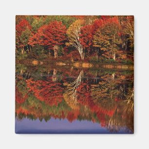 USA, Michigan, Övre halvön. Höst Magnet