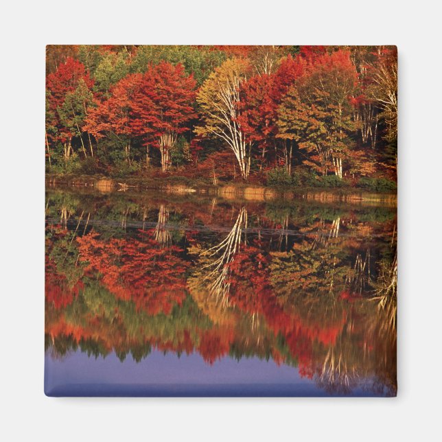 USA, Michigan, Övre halvön. Höst Magnet (Framsidan)
