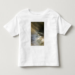 USA, Michigan, Övre halvön. Solstrålar på Tee Shirt