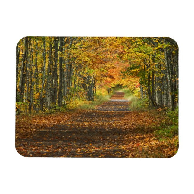 USA, Michigan, Övre halvön. Vägen in i Magnet (Horisontell)