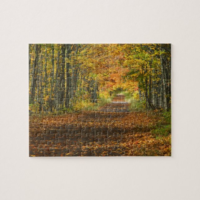 USA, Michigan, Övre halvön. Vägen in i Pussel (Horisontell)