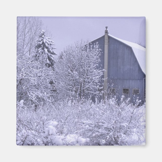 USA, Michigan, Rochester Backe. Snöblå Magnet (Framsidan)