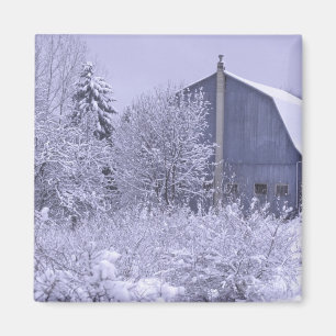 USA, Michigan, Rochester Hills. Snöigt blått Magnet