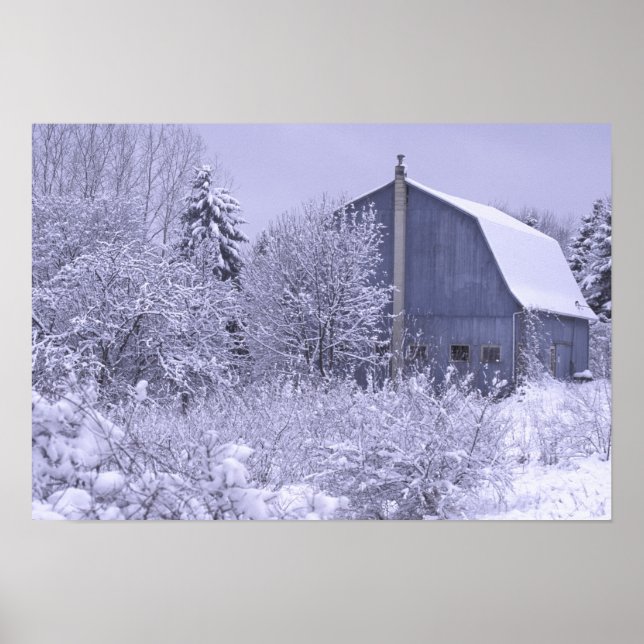 USA, Michigan, Rochester Hills. Snöigt blått Poster (Framsidan)