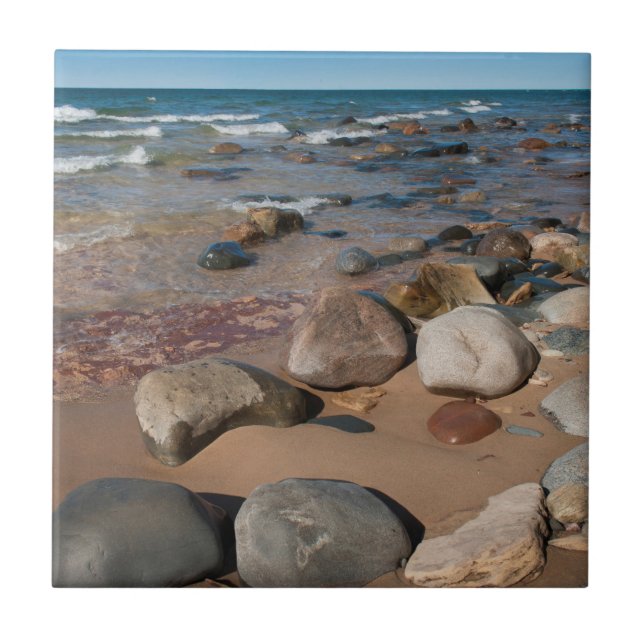 USA, Michigan. Rundade bloggar på 12 miljoner Kakelplatta (Framsidan)