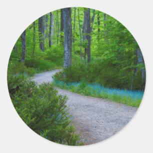 USA, Michigan. Stig genom skogen Runt Klistermärke