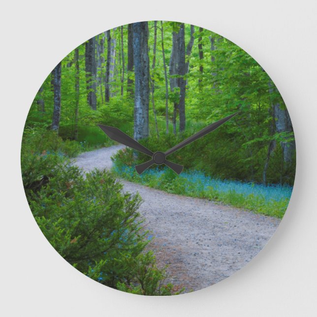 USA, Michigan. Stig genom skogen Stor Klocka (Framsida)