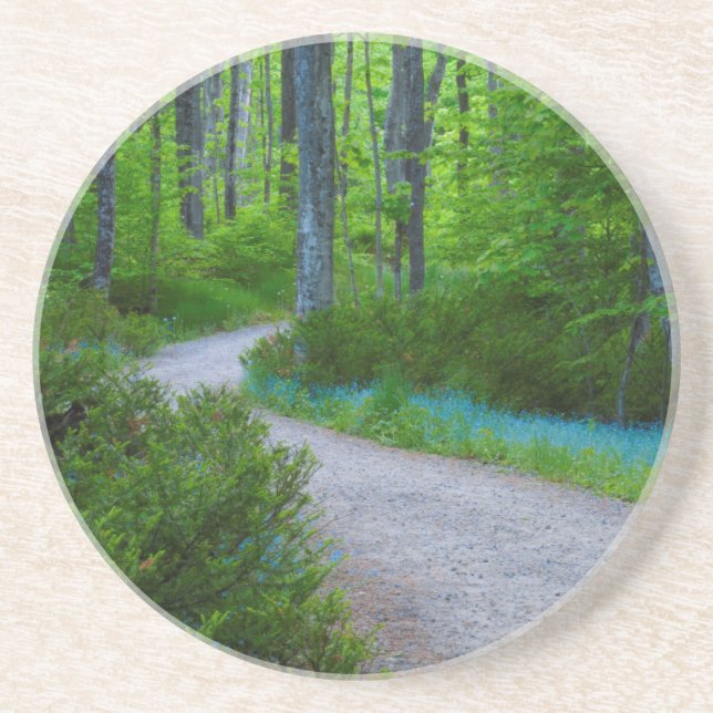 USA, Michigan. Stig genom skogen Underlägg (Framsidan)