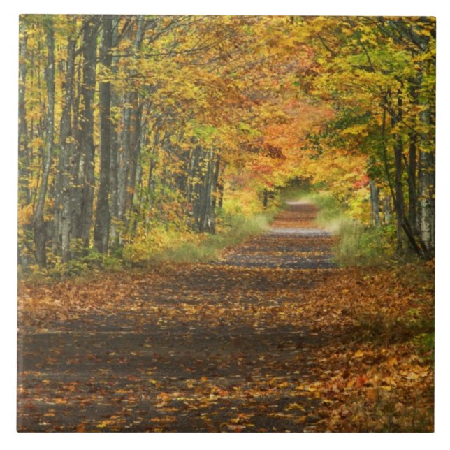 USA, Michigan, Upper Peninsula. Vägbana in på Kakelplatta (Framsidan)