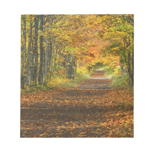 USA, Michigan, Upper Peninsula. Vägväg in i Anteckningsblock (Framsida)