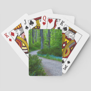 USA, Michigan. Väg Thru Skogen Casinokort