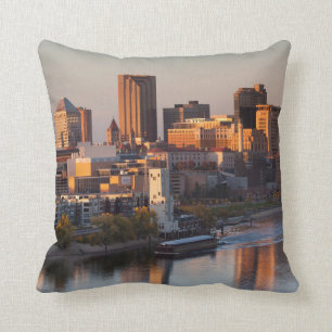 USA, Minnesota, Minneapolis, St Paul 3 Kudde