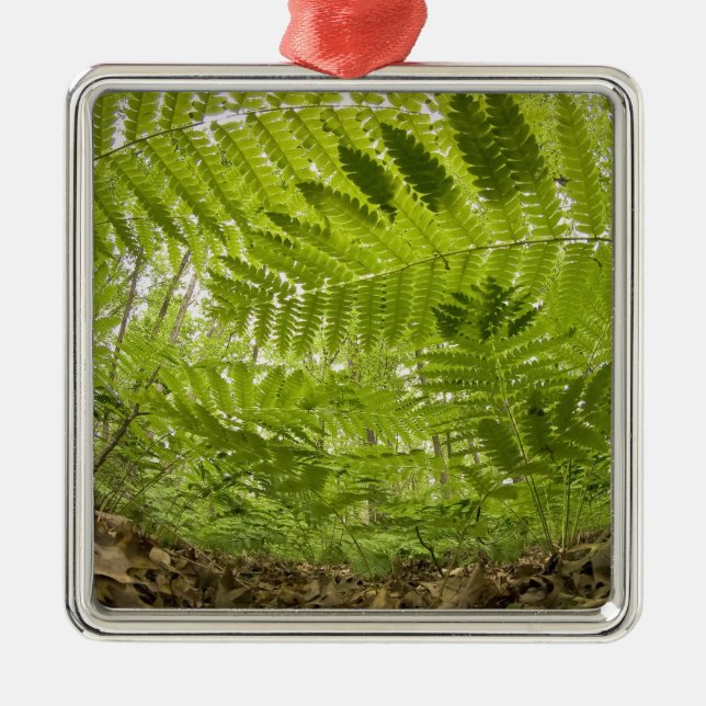 USA, MInnesota, North Shore Sjö Superior Julgransprydnad Metall (Framsidan)