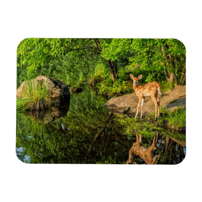USA, Minnesota, Sandstone, Minnesota Wildlife Magnet (Horisontell)