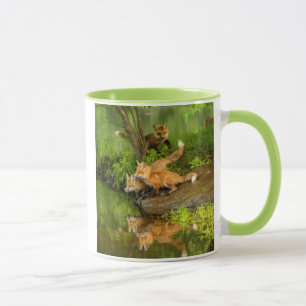 USA, Minnesota, Sandstone, Minnesota Wildlife Mugg