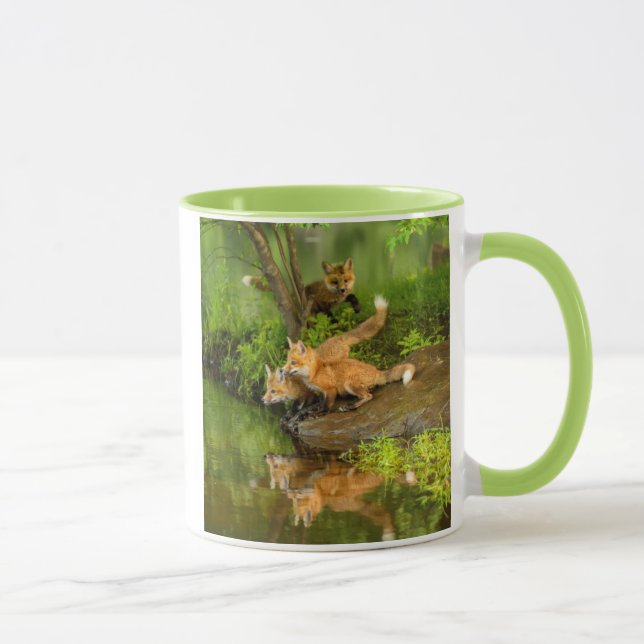 USA, Minnesota, Sandstone, Minnesota Wildlife Mugg (Höger)