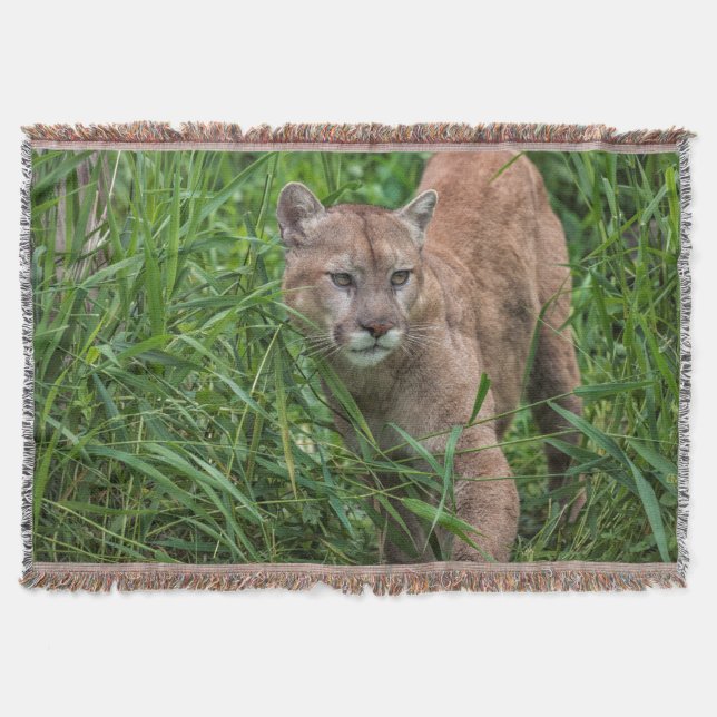 USA, Minnesota, Sandstone, Minnesota Wildlife Mysfilt (Framsidan)