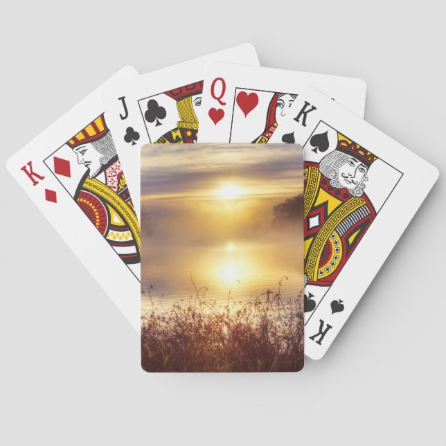 USA, Missouri, Kansas City Metro Area, Fleming Kortlek (Baksidan)