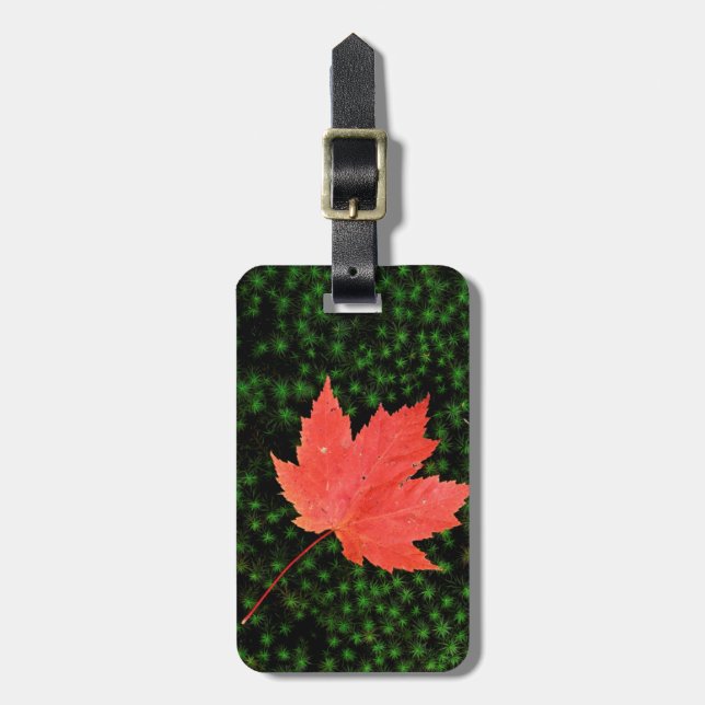 USA, Missouri, Mark Twain National Forest Bagagebricka (Vertikal Framsida)
