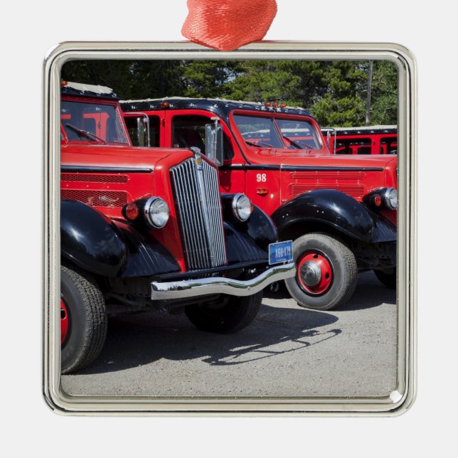 USA Montana, den östliga glaciären parkerar, Julgransprydnad Metall (Framsidan)