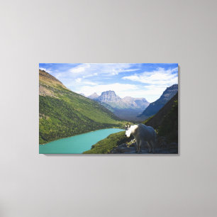 USA Montana, glaciärnationalpark, berg Canvastryck
