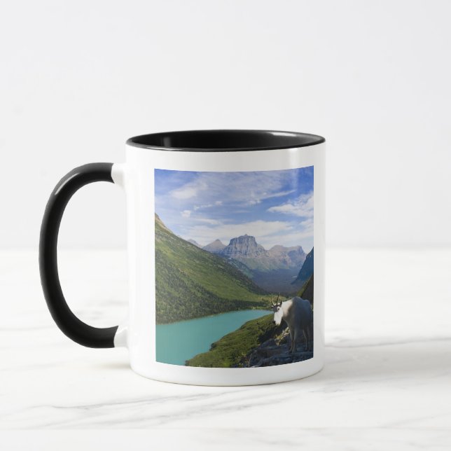 USA Montana, glaciärnationalpark, berg Mugg (Vänster)