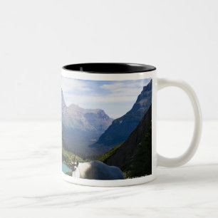 USA Montana, glaciärnationalpark, berg Två-Tonad Mugg