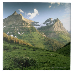 USA Montana, glaciärnationalpark Kakelplatta