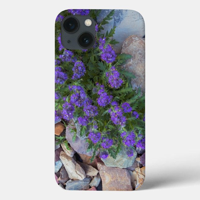 USA, Montana, Glacier National Park (Baksida)