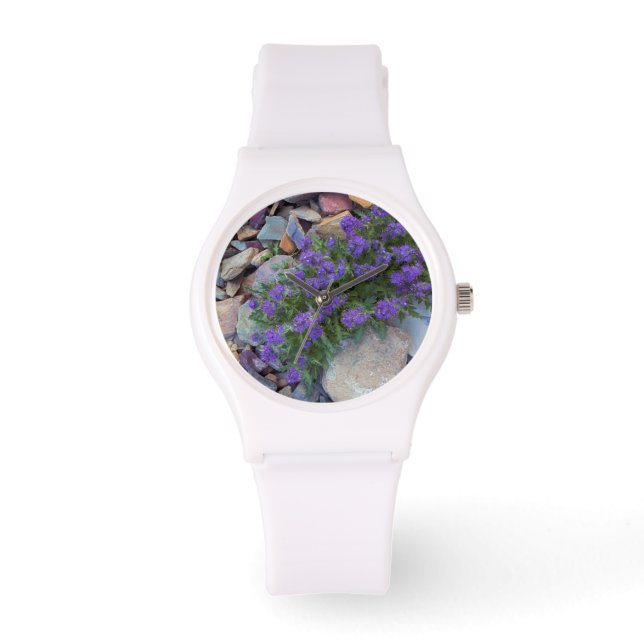 USA, Montana, Glacier National Park Armbandsur (Framsida)