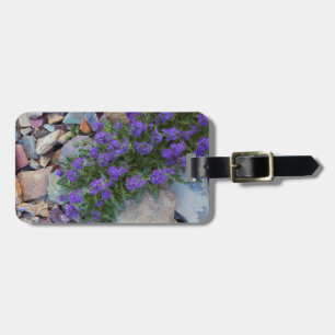 USA, Montana, Glacier National Park Bagagebricka