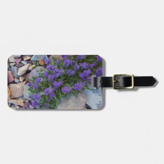 USA, Montana, Glacier National Park Bagagebricka (Horisontell Framsida)