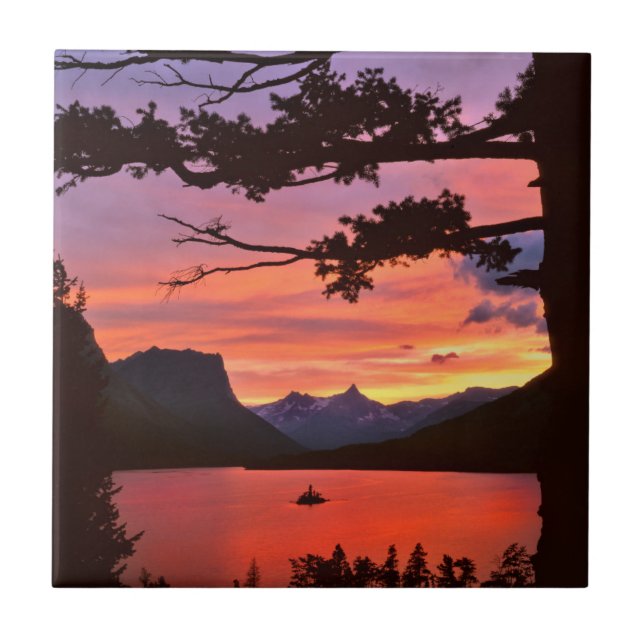 USA, Montana, Glacier National Park. Liggande Kakelplatta (Framsidan)