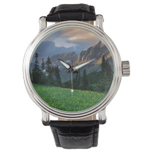 USA, Montana, Glacier National Park, Logan Pass Armbandsur