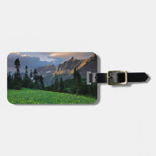 USA, Montana, Glacier National Park, Logan Pass Bagagebricka