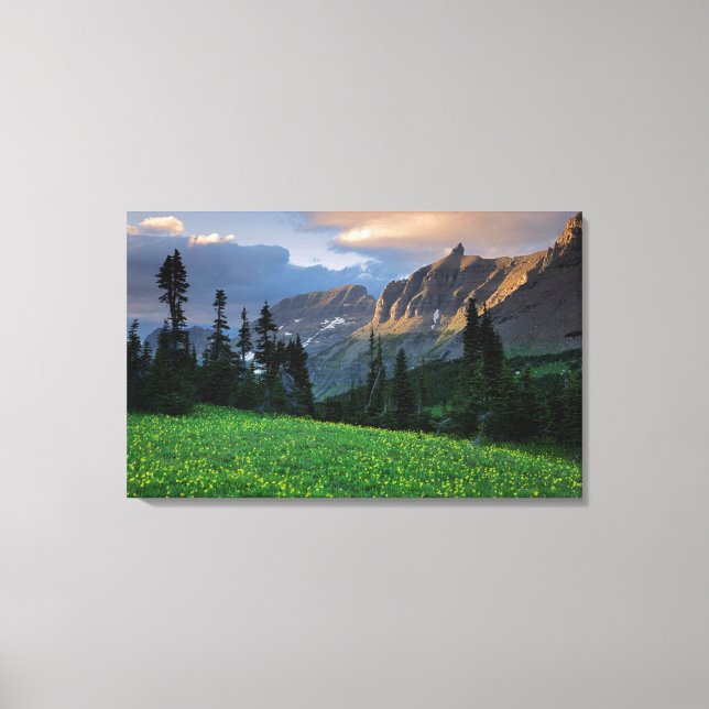 USA, Montana, Glacier National Park, Logan Pass Canvastryck (Framsida)