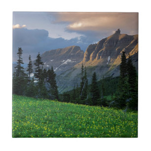 USA, Montana, Glacier National Park, Logan Pass Kakelplatta