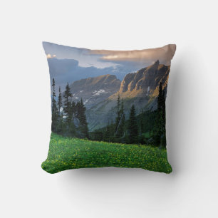 USA, Montana, Glacier National Park, Logan Pass Kudde
