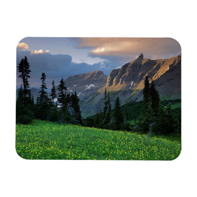 USA, Montana, Glacier National Park, Logan Pass Magnet (Horisontell)
